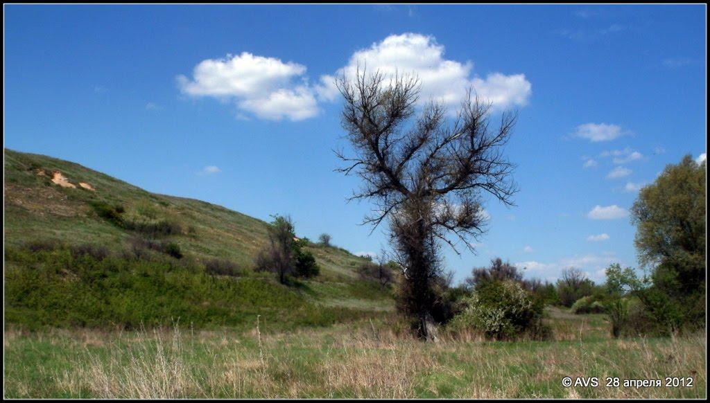 Іванград з panoramio.com - Іванград