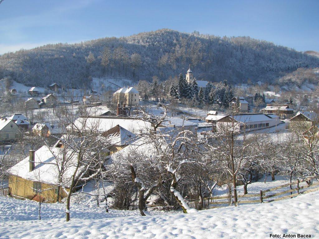 Великий Бичків з panoramio.com - Великий Бичків