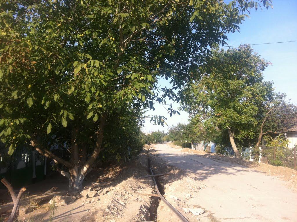 Жемчужина з panoramio.com - Жемчужина