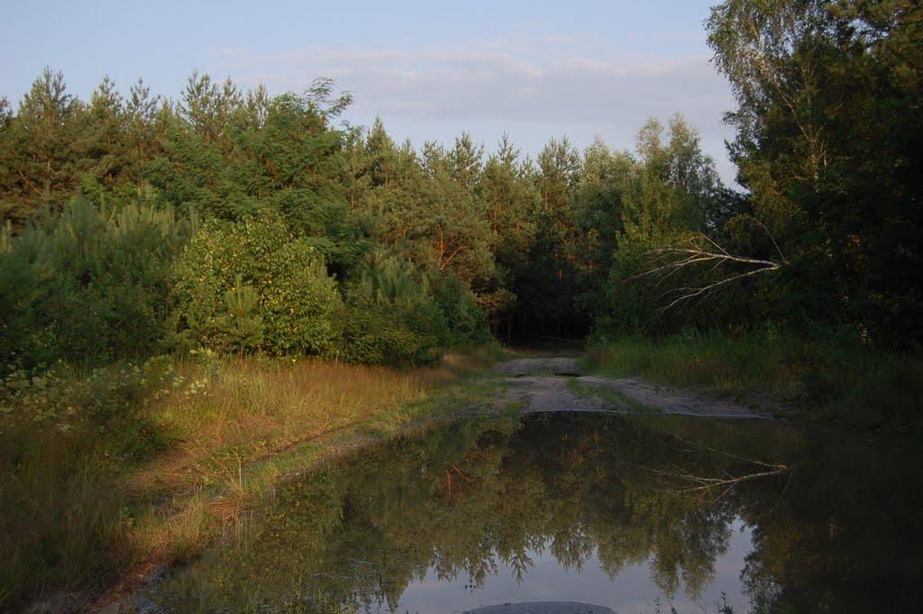 Стеблів з panoramio.com - Стеблів