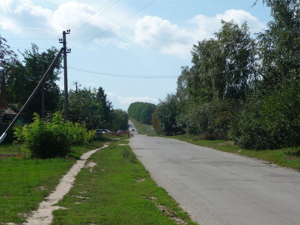 Бабаї з panoramio.com - Бабаи