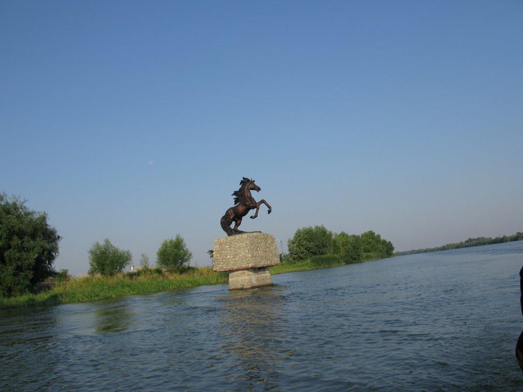 Ліски з panoramio.com - Ліски