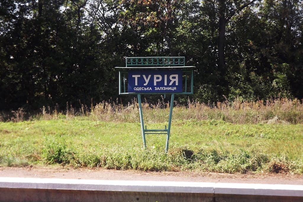 Новомиргород з panoramio.com - Novomyrhorod