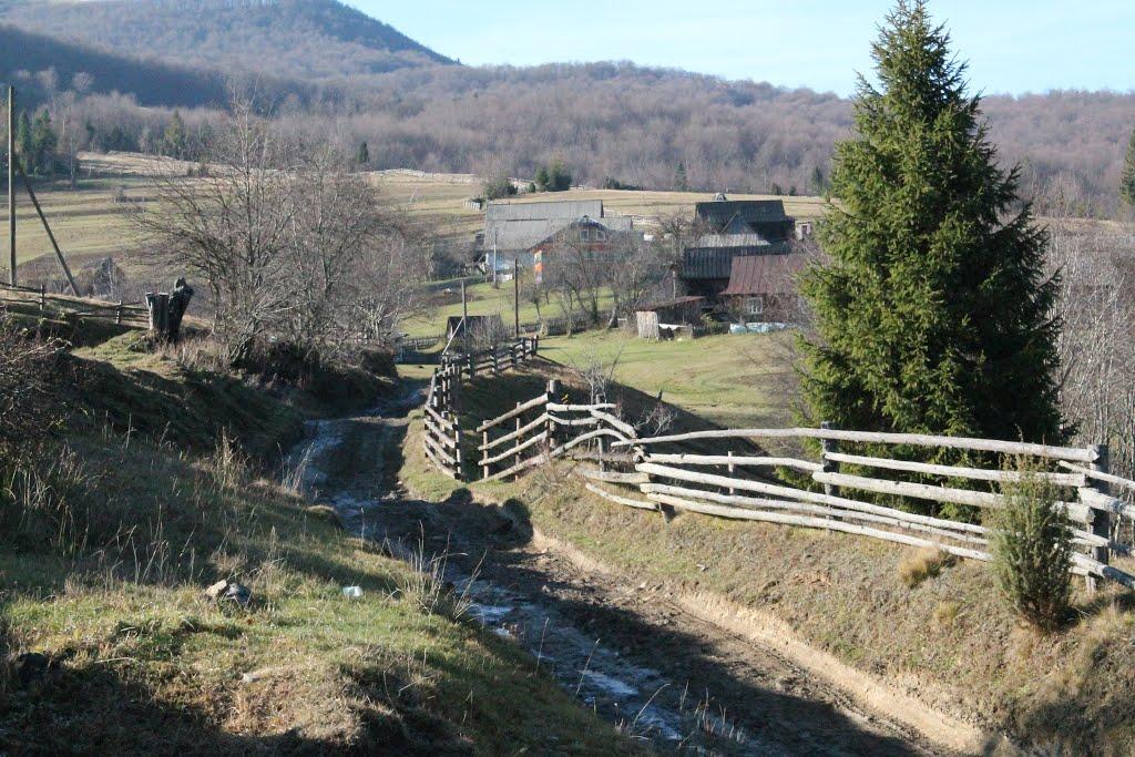 Карпатське з panoramio.com - Карпатське