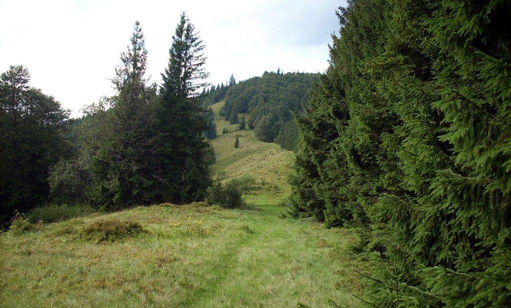 Либохорa з panoramio.com - Либохорa