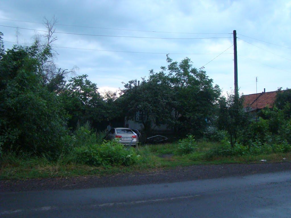 Чорнухине з panoramio.com - Чернухино