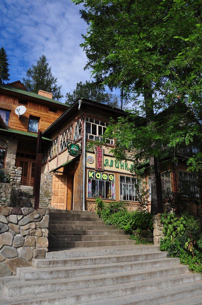 Поляниця з panoramio.com - Поляница