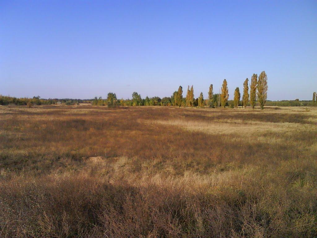 Великі Копані з panoramio.com - Velyki Kopani