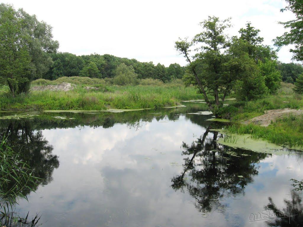 Верхоли з panoramio.com - Verkholy