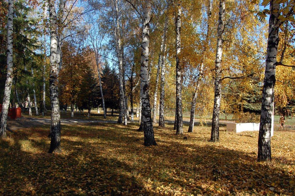 Новопсков з panoramio.com - Новопсков