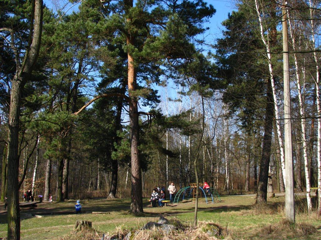 Шепетівка з panoramio.com (ч.2) - Шепетовка