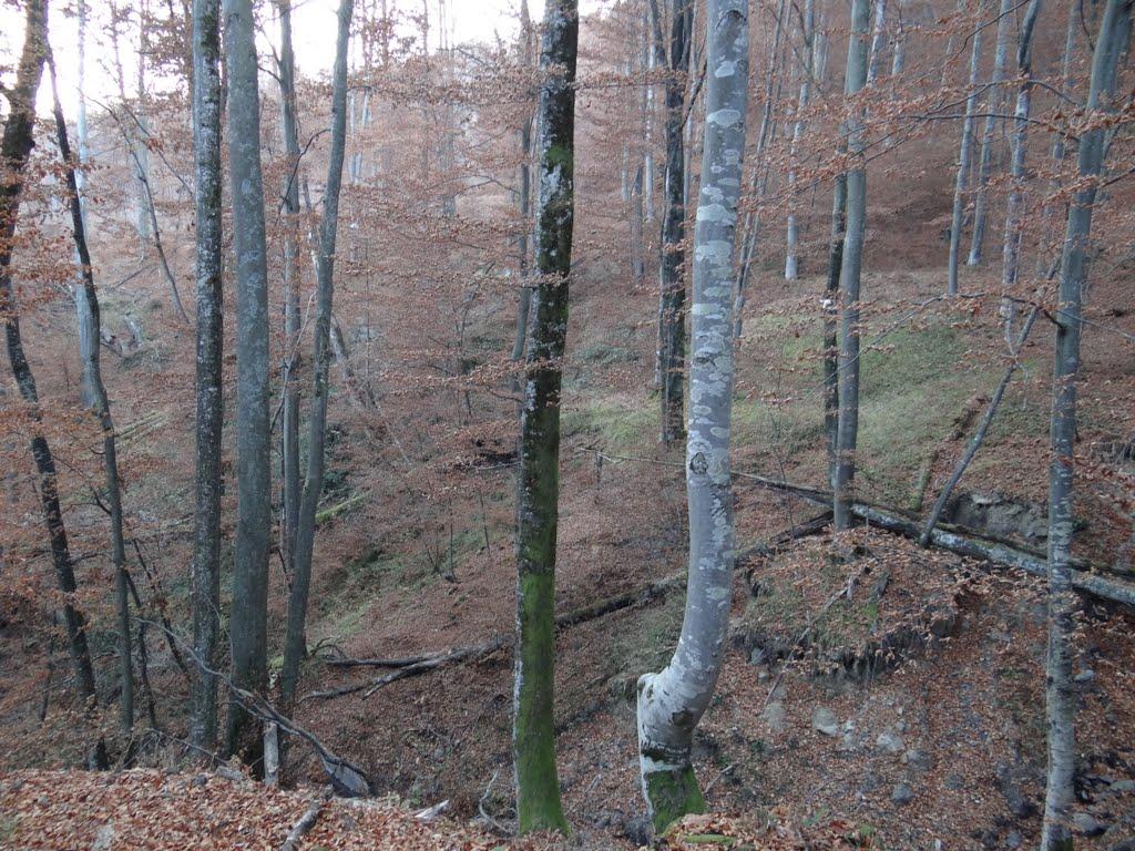 Хмелів з panoramio.com - Хмелів