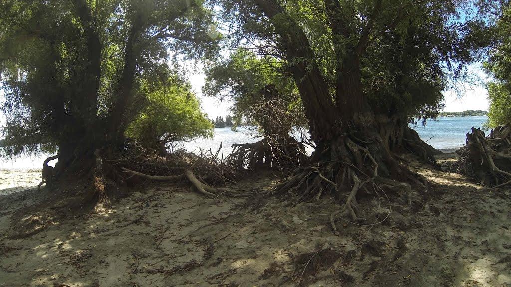 Дунайське з panoramio.com (ч.2) - Дунайское