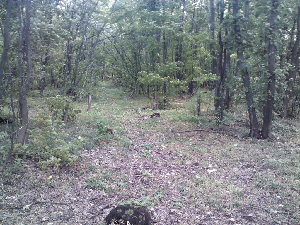 Стара Водолага з panoramio.com - Стара Водолага