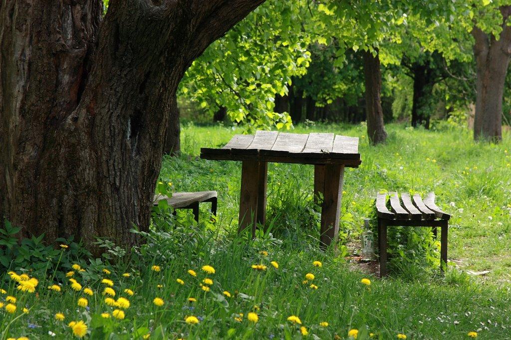 Олесько з panoramio.com - Олеско