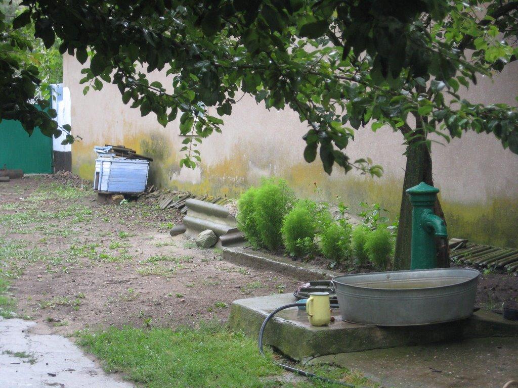 Сарата з panoramio.com - Сарата