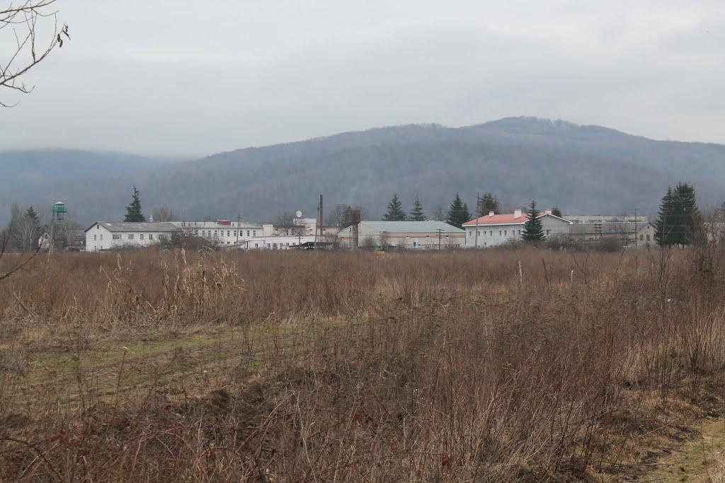 Малий Березний з panoramio.com - Малый Березный