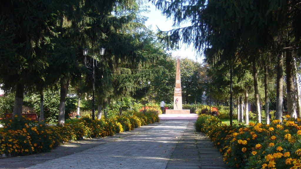 Новоград-Волинський з panoramio.com (ч.3) - Новоград-Волинський