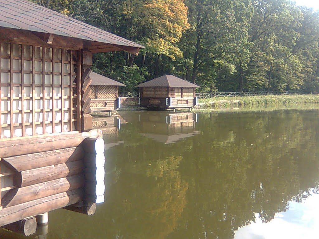 Тарашани з panoramio.com - Тарашани