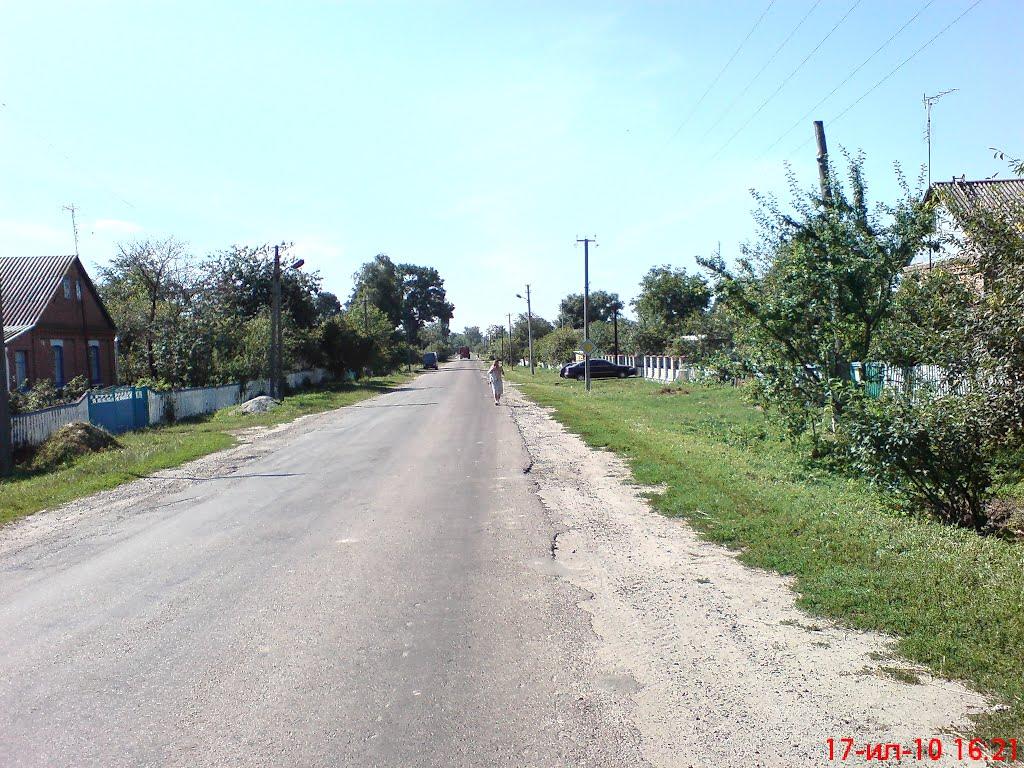 Стара Чортория з panoramio.com - Стара Чортория