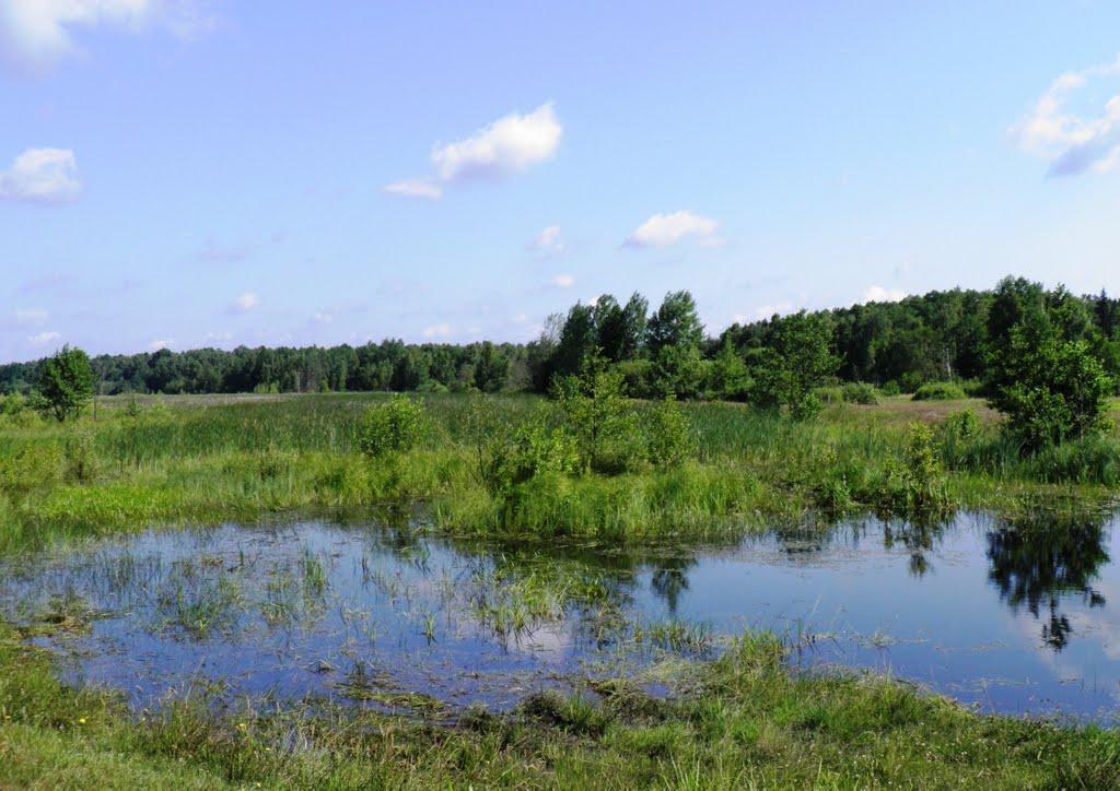 Маневичі з panoramio.com - Маневичи