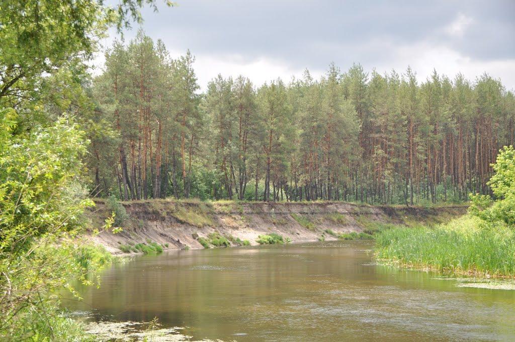 Лукищина з panoramio.com - Лукищина