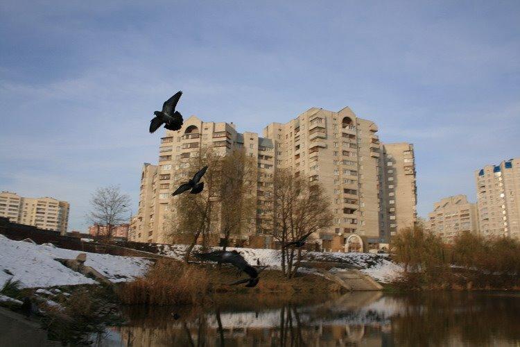 Гнідин з panoramio.com (ч.3) - Gnidyn