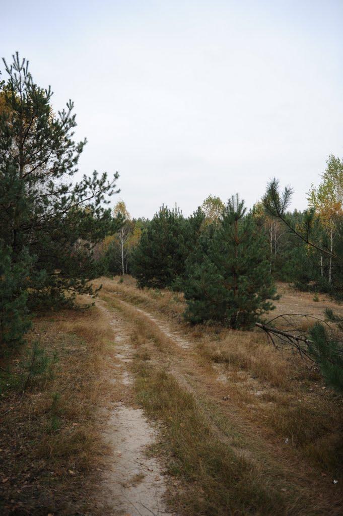 Заріччя з panoramio.com - Заріччя