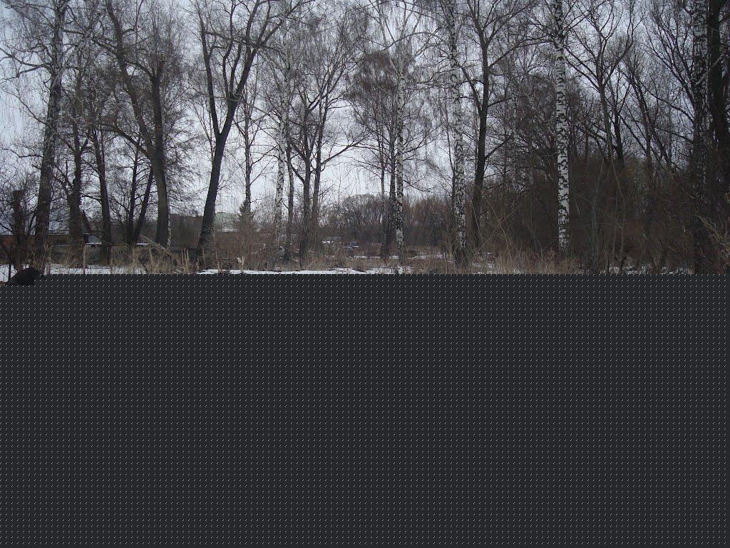Броди з panoramio.com - Броды