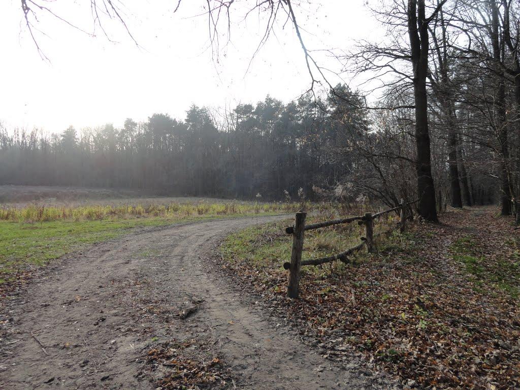 Звози з panoramio.com - Звози