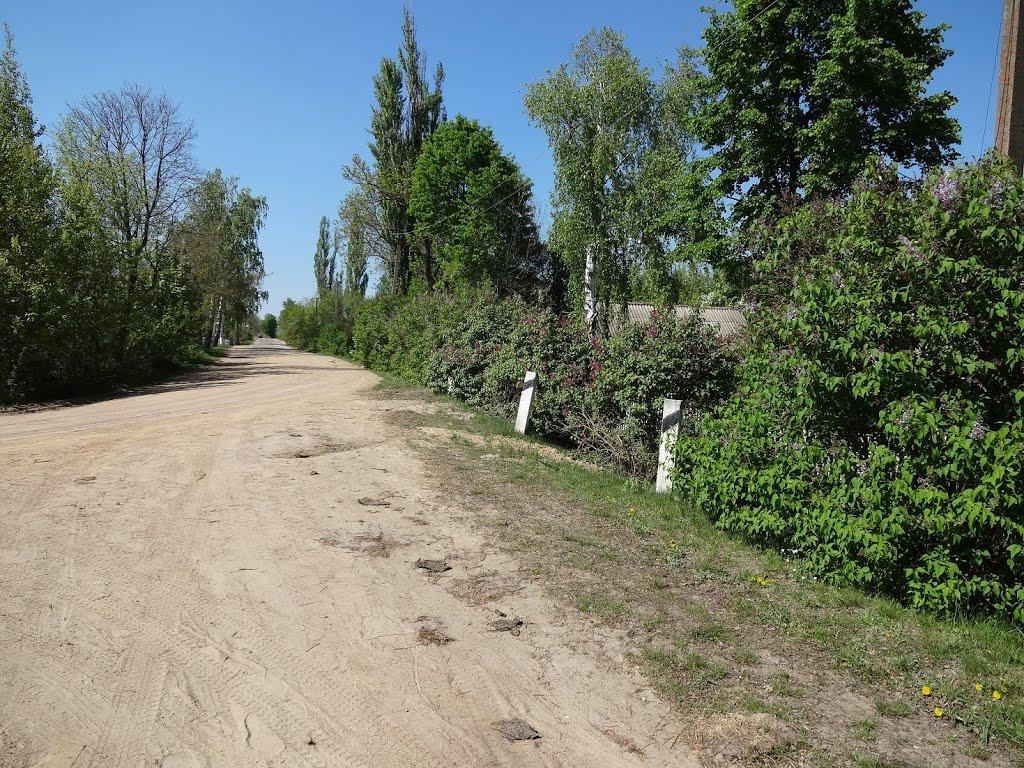 Писарівка з panoramio.com - Писарівка