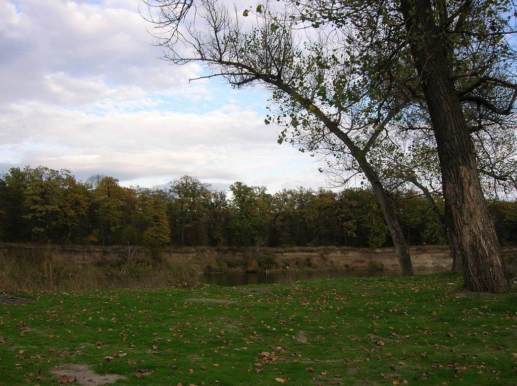 Малинове з panoramio.com - Малиновое