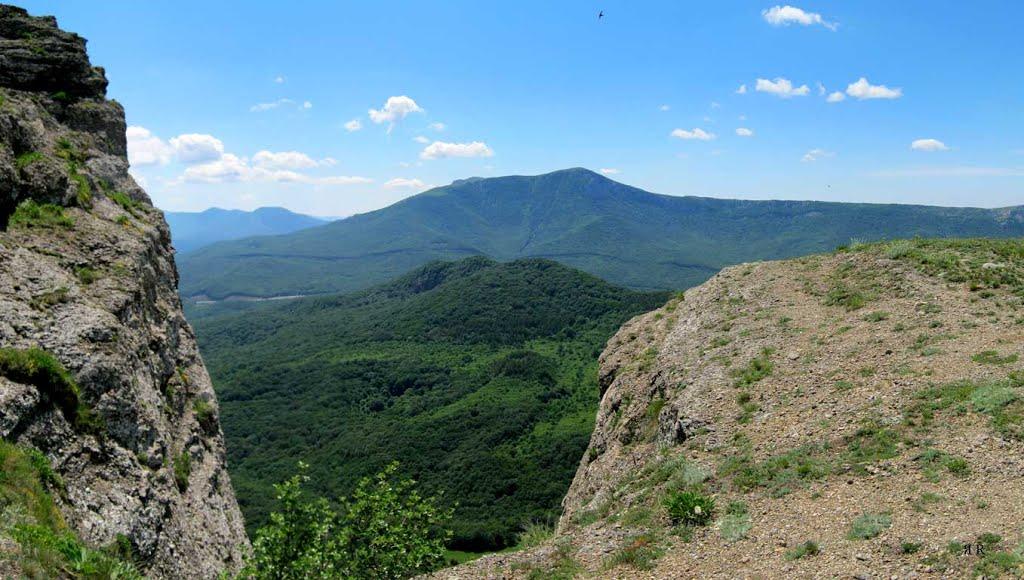 Лаванда з panoramio.com (ч.2) - Лаванда