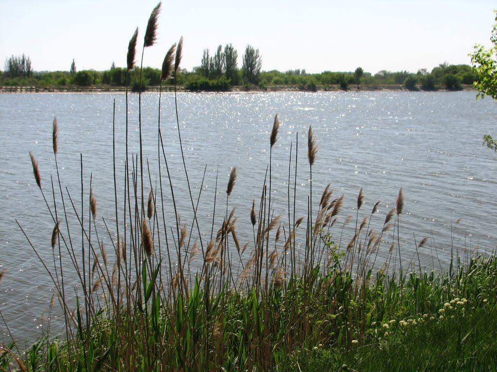 Новомихайлівка з panoramio.com - Новомихайлівка