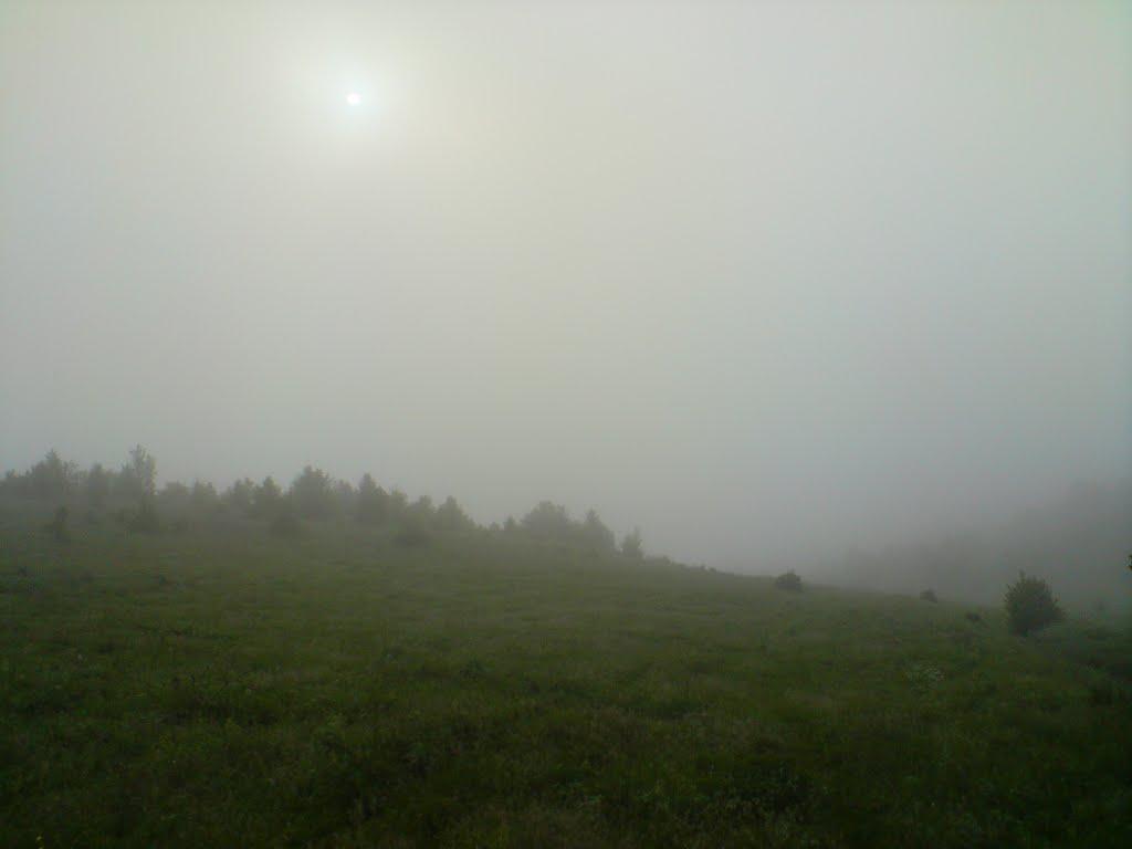 Великі Будища з panoramio.com - Velyki Budyscha