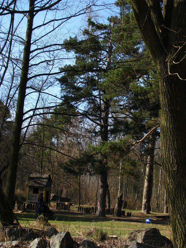 Шепетівка з panoramio.com (ч.2) - Шепетовка