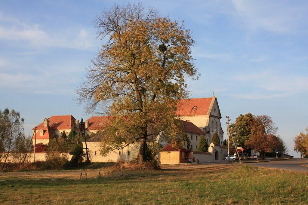 Олесько з panoramio.com - Олеско