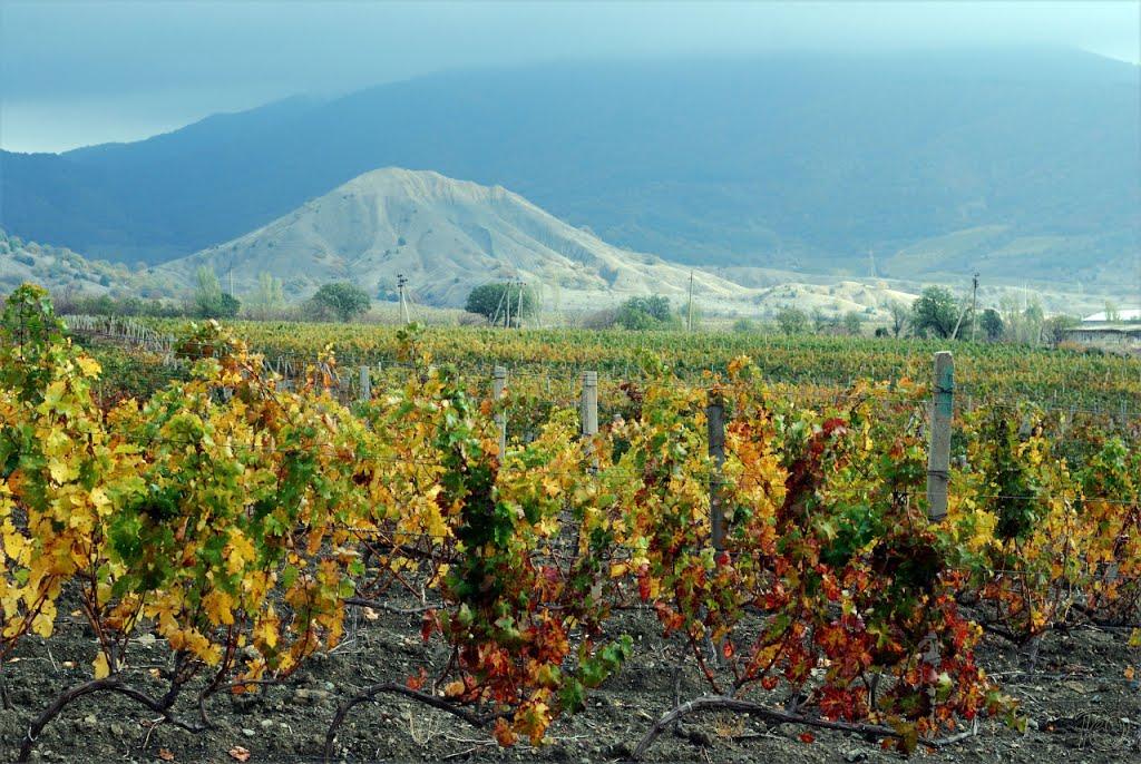Долина з panoramio.com - Долина