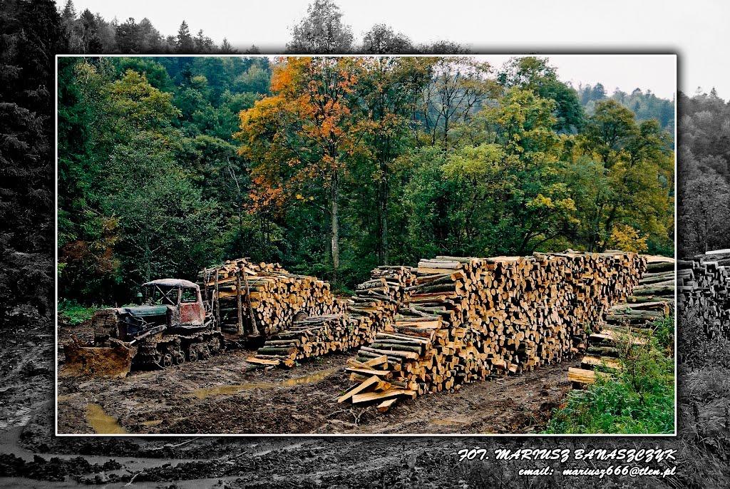 Боберка з panoramio.com - Боберка