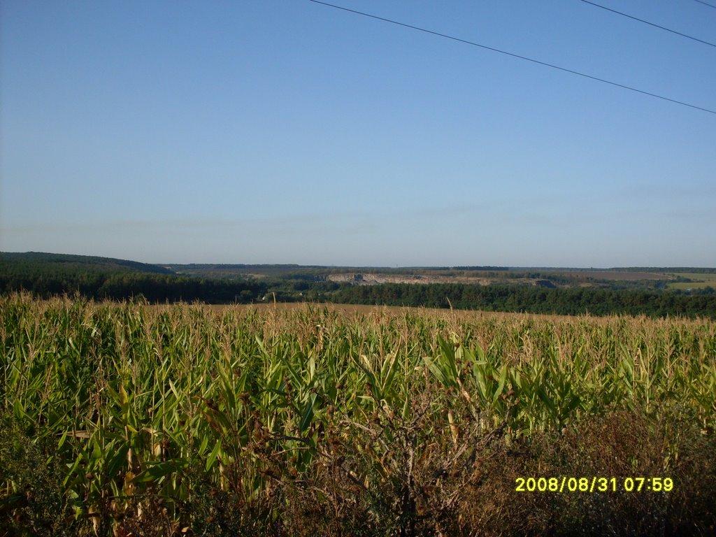 Дмитренки з panoramio.com - Дмитренки