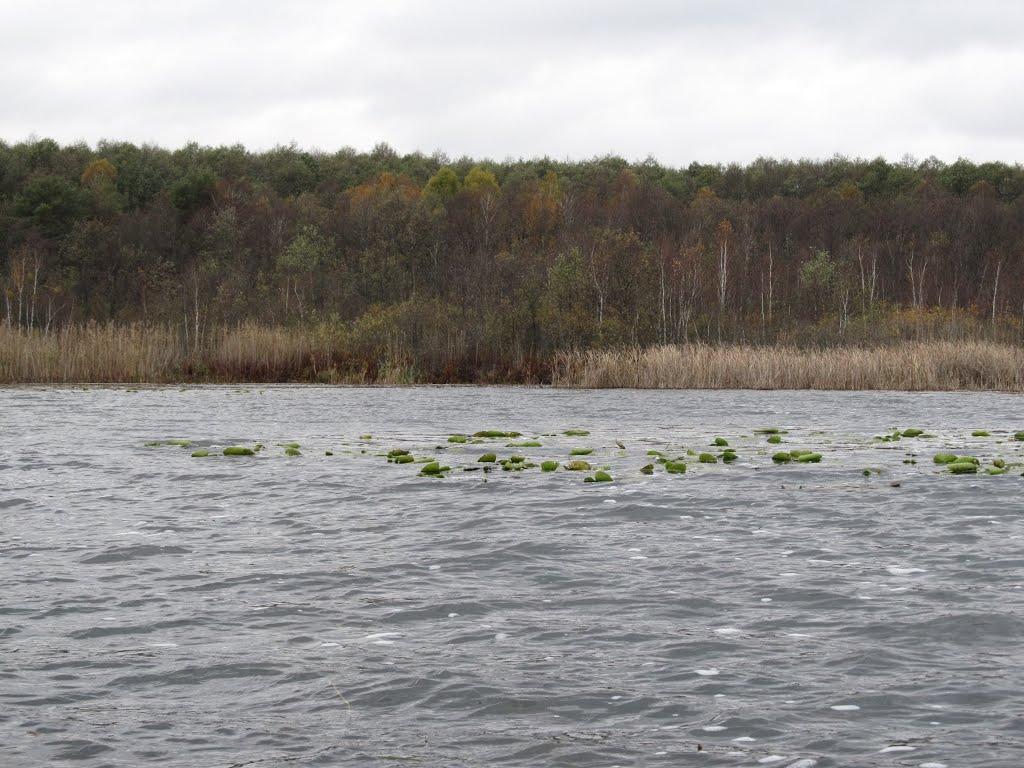 Пульмо з panoramio.com - Пульмо