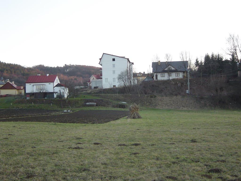 Нижанковичі з panoramio.com (ч.2) - Nyzhankovychi