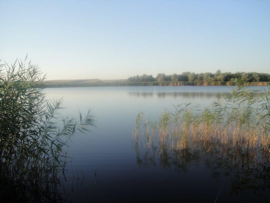 Гвоздавка Друга з panoramio.com - Гвоздавка Вторая