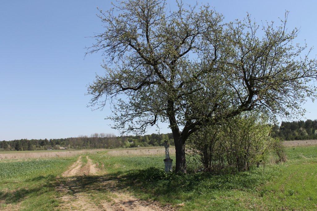 Великі Макари з panoramio.com - Великі Макари