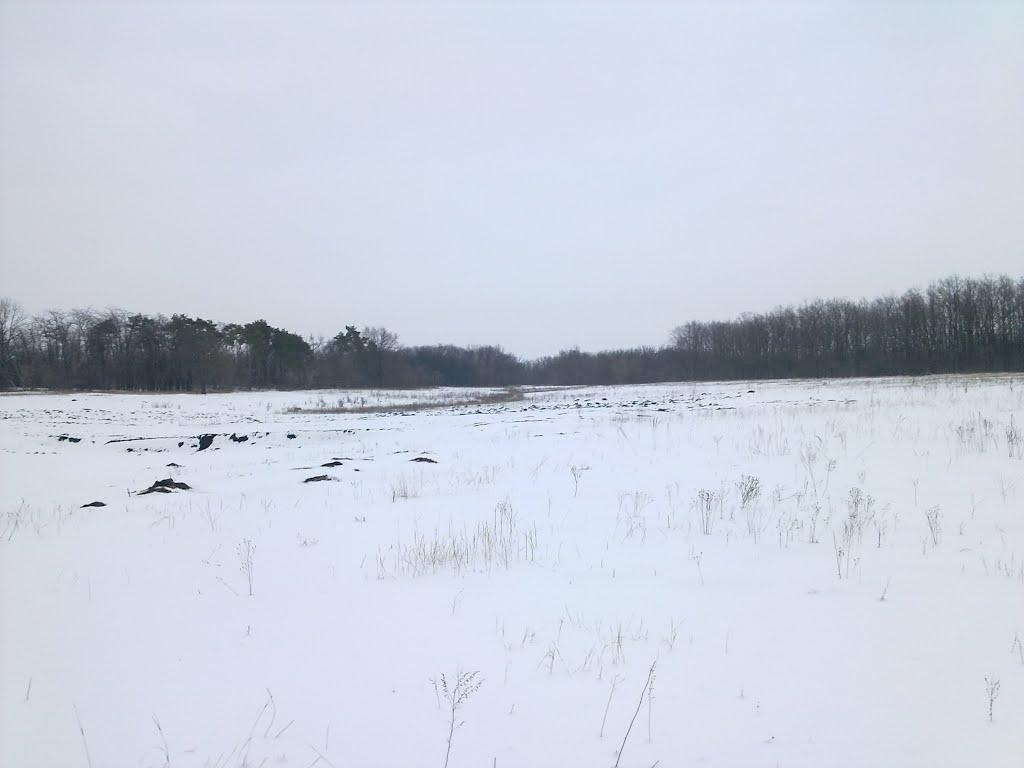 Миколаївське з panoramio.com - Миколаївське