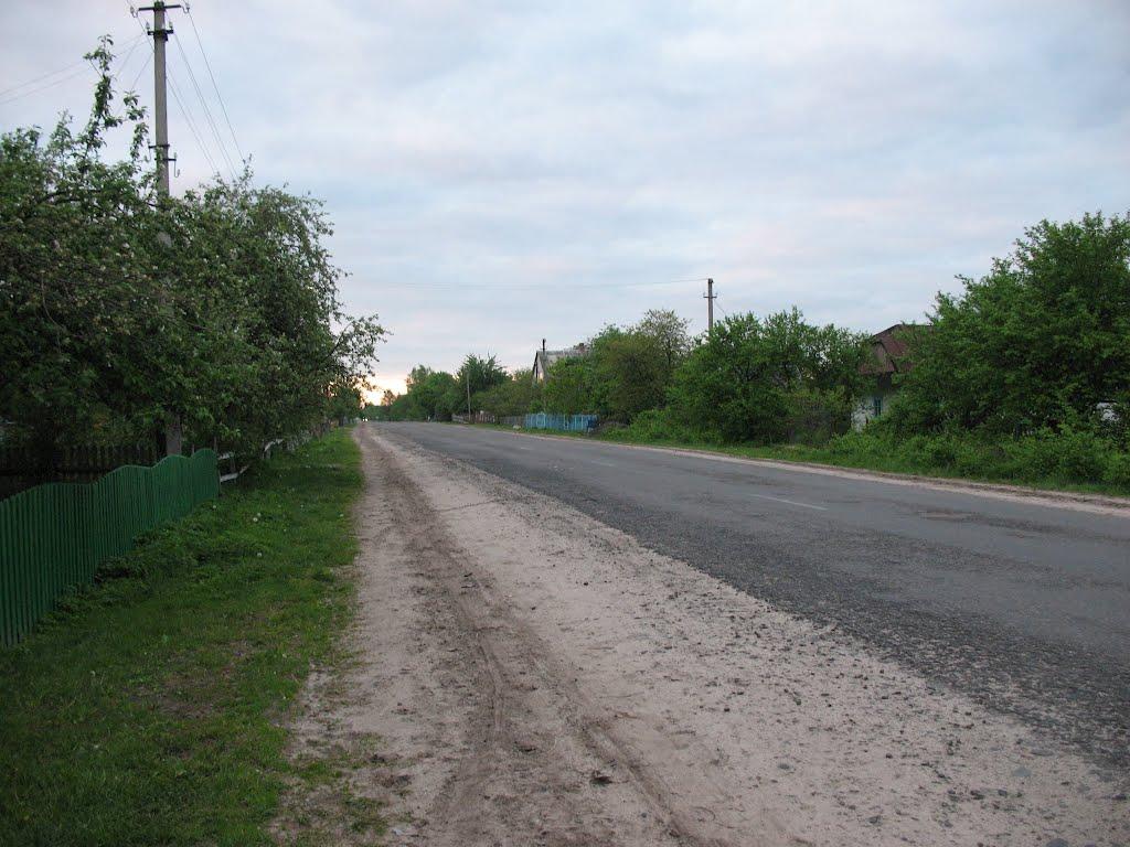 Сошичне з panoramio.com - Сошичне