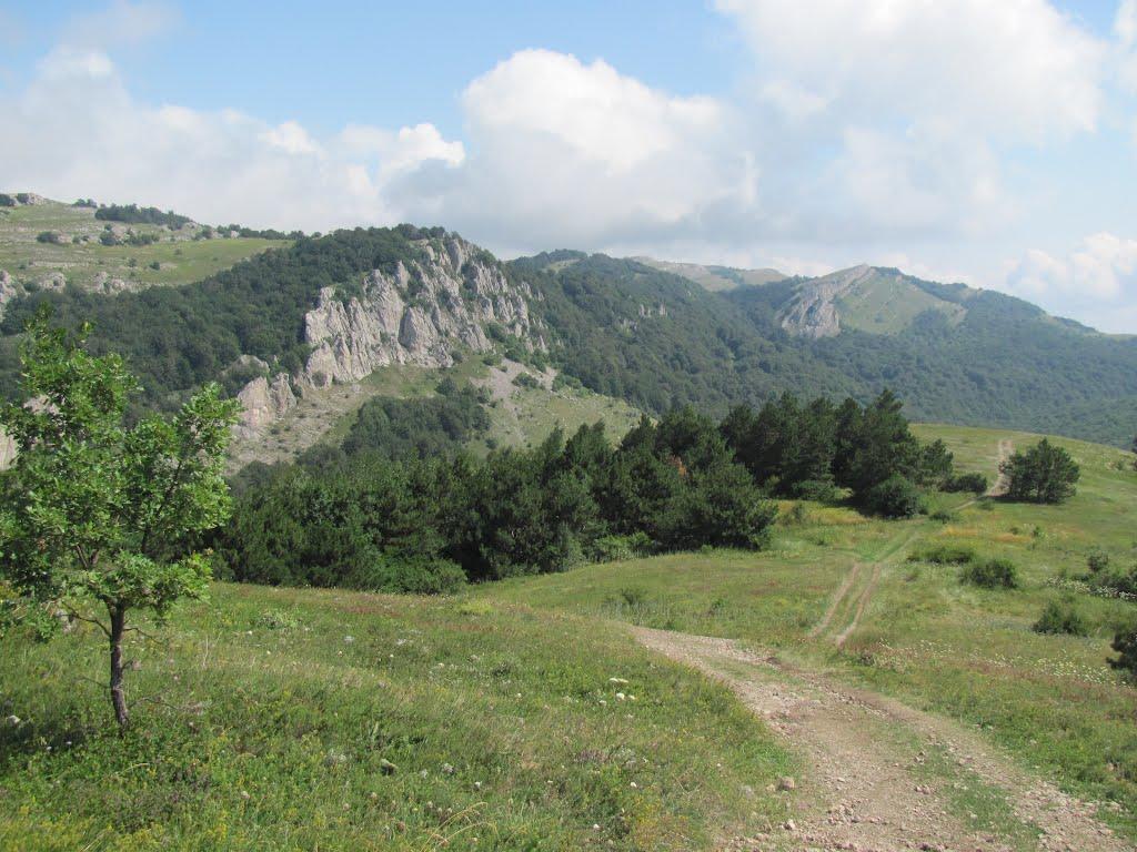 Лаванда з panoramio.com (ч.2) - Lavanda