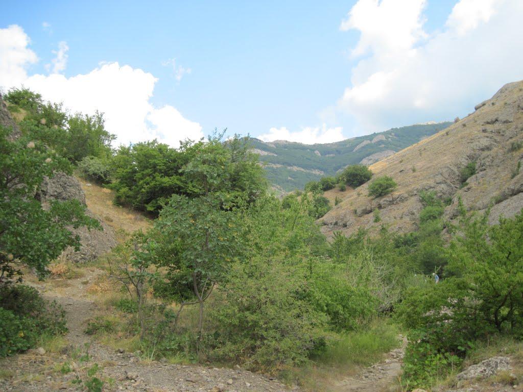 Зеленогір'я з panoramio.com - Зеленогір'я