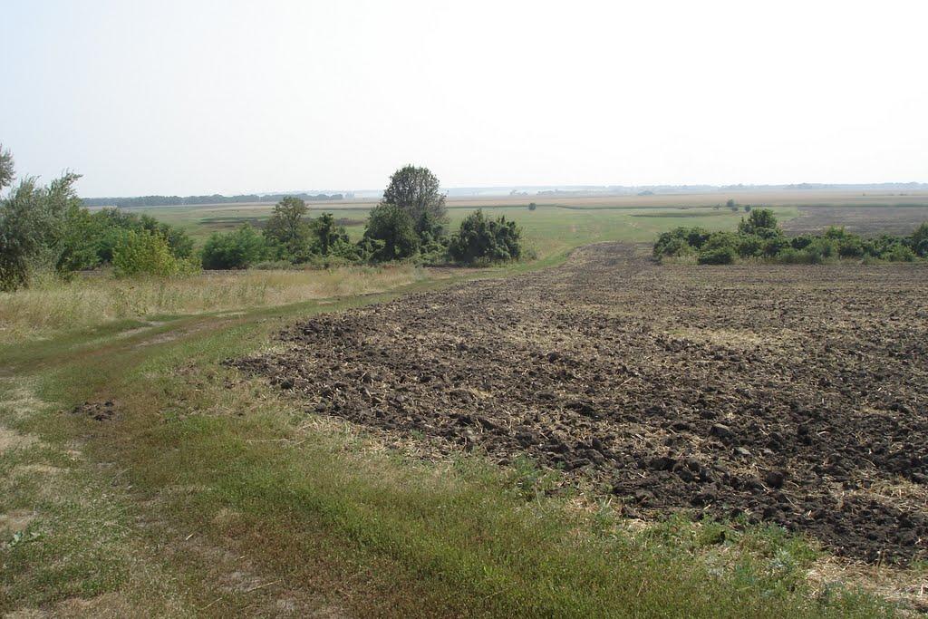 Мушина Гребля з panoramio.com - Мушина Гребля