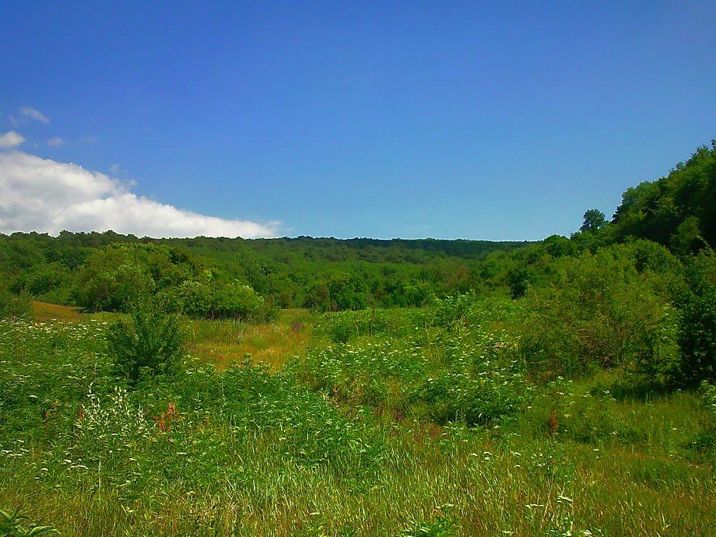 Багата Ущелина з panoramio.com - Багата Ущелина